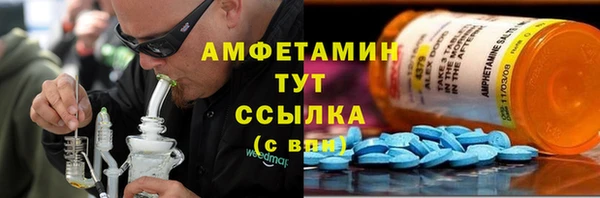 индика Каменногорск