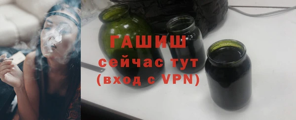 индика Каменногорск