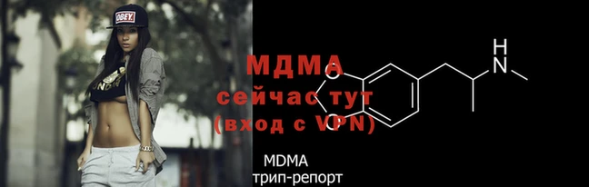 индика Каменногорск