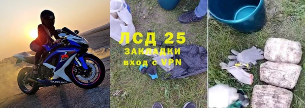 индика Каменногорск