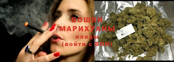 индика Каменногорск